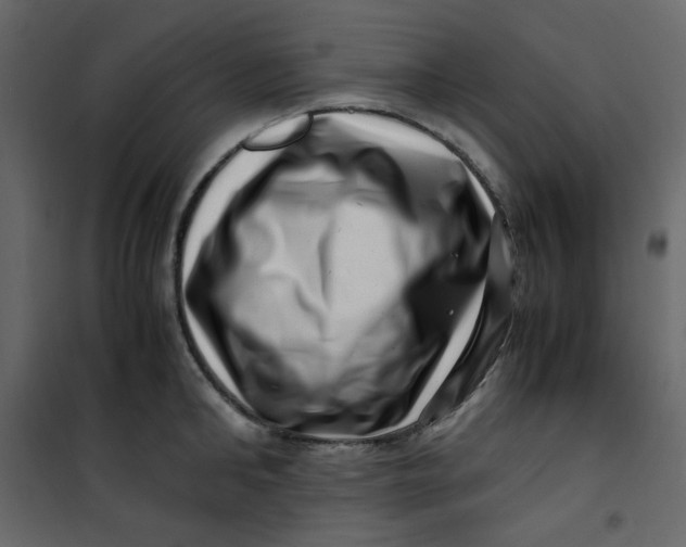 X0000101100902200807171909