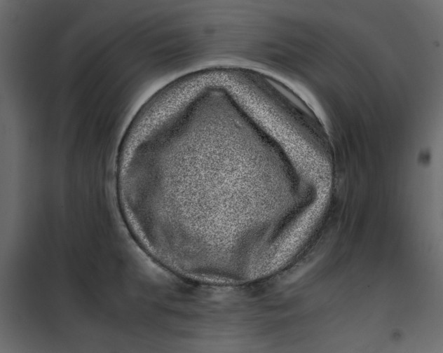 X0000101100903200807171909