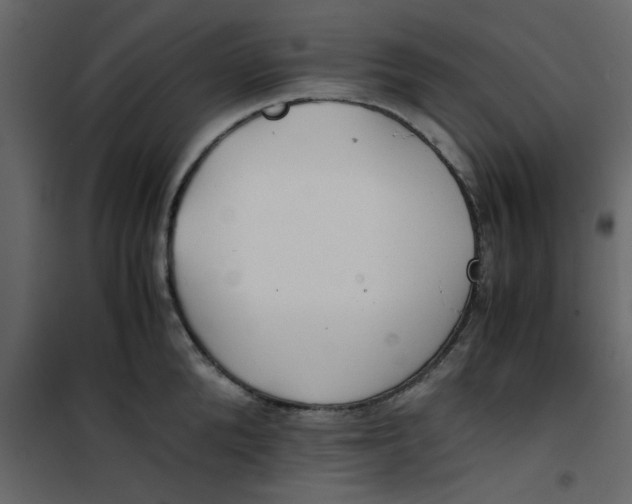 X0000101100904200807171909