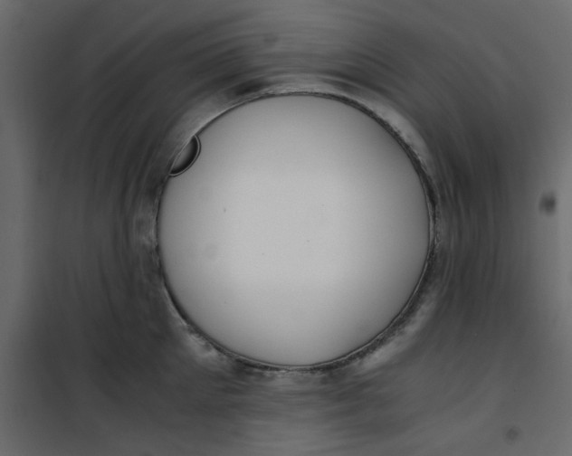 X0000101100905200807171909