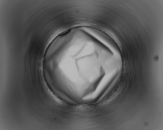 X0000101100906200807171909