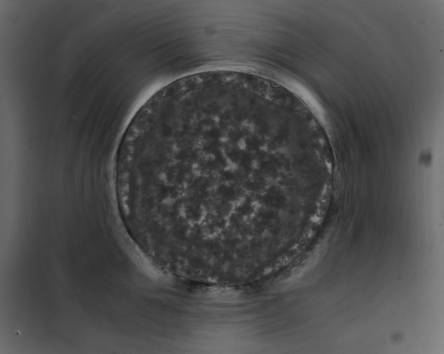 X0000101100907200807171909