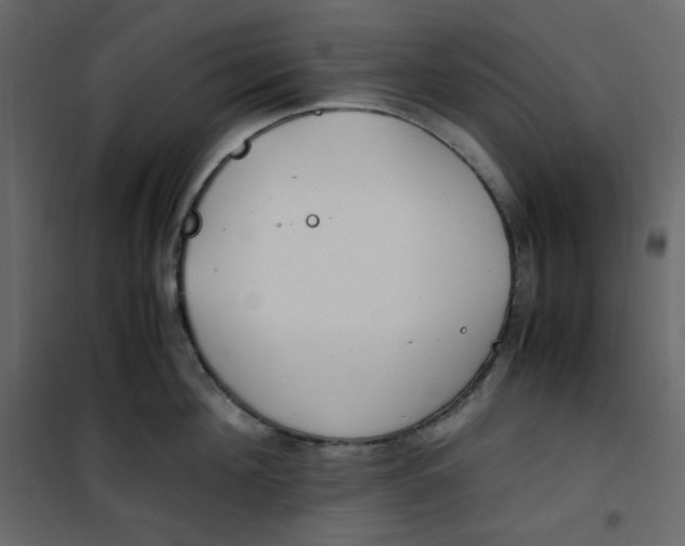 X0000101100908200807171909