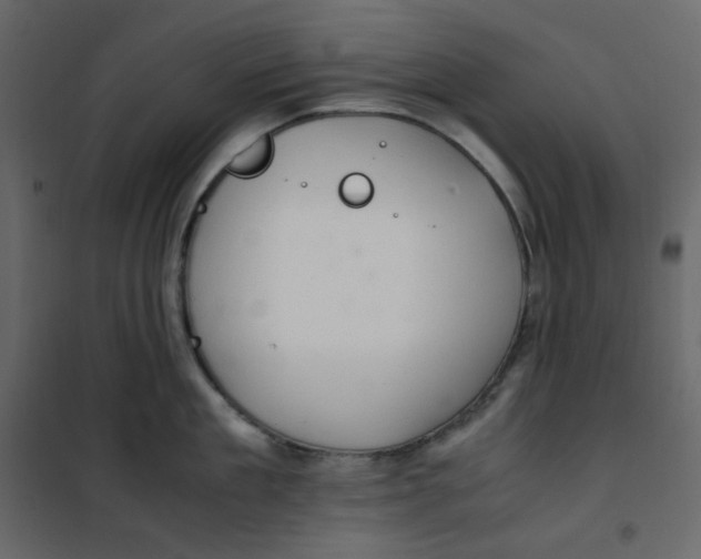 X0000101100909200807171909