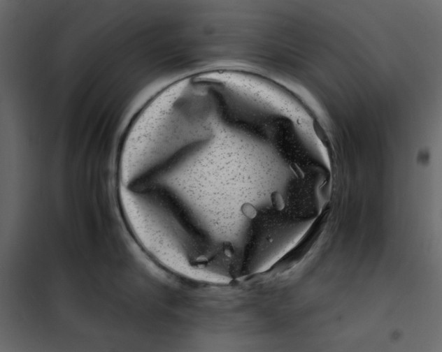 X0000101100910200807171909