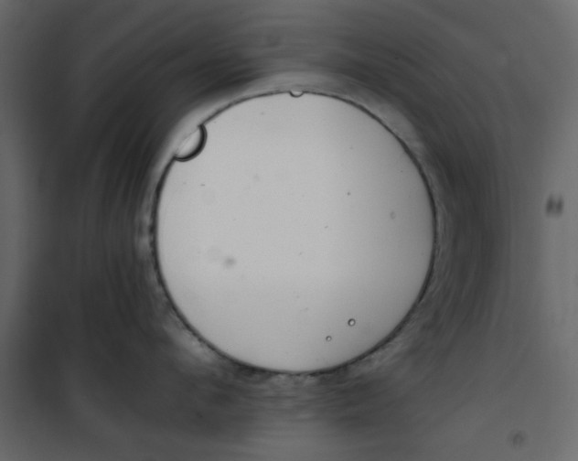 X0000101100912200807171909