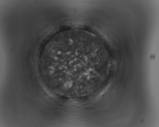 X0000101100913200807171908