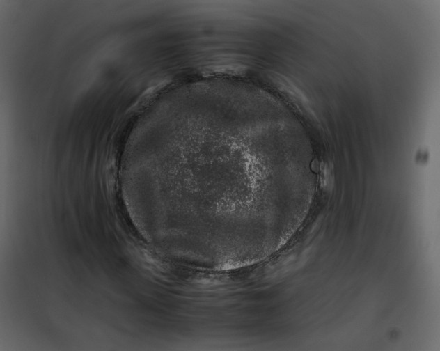 X0000101100915200807171908