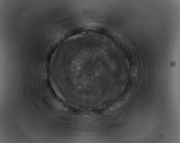 X0000101100916200807171908