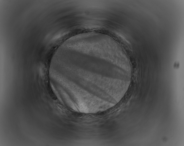 X0000101100917200807171908