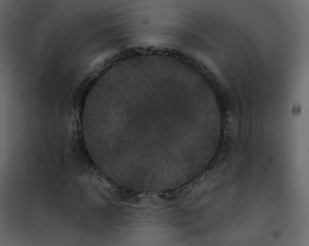 X0000101100918200807171908