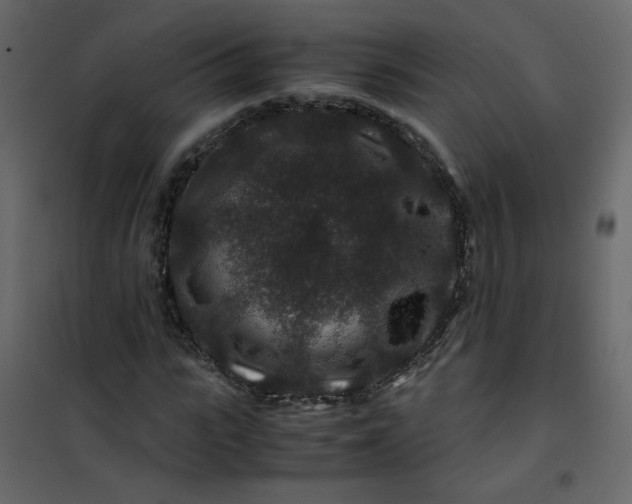 X0000101100919200807171908