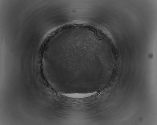 X0000101100920200807171908