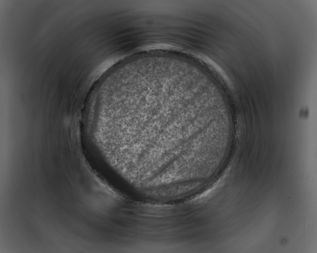 X0000101100921200807171908