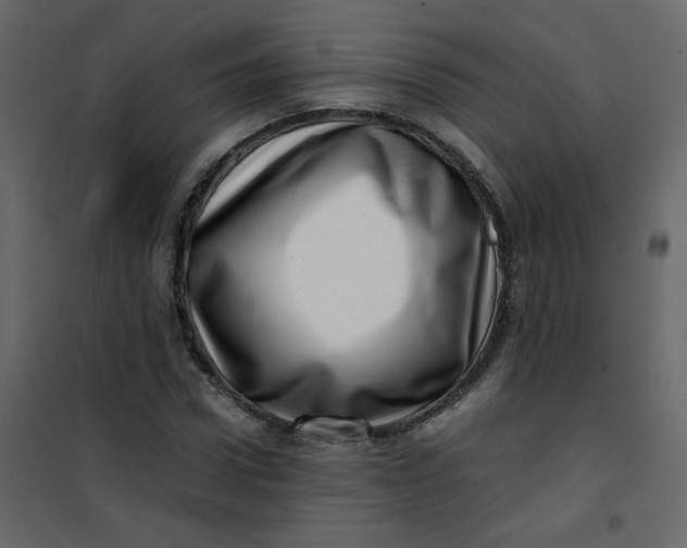 X0000101100922200807171908