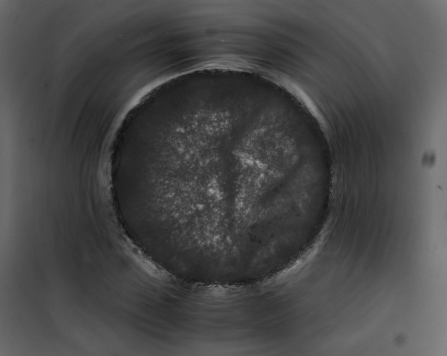 X0000101100923200807171908