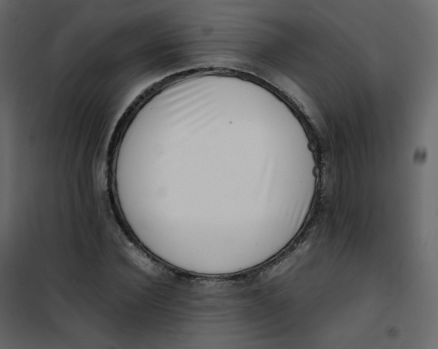 X0000101100924200807171908