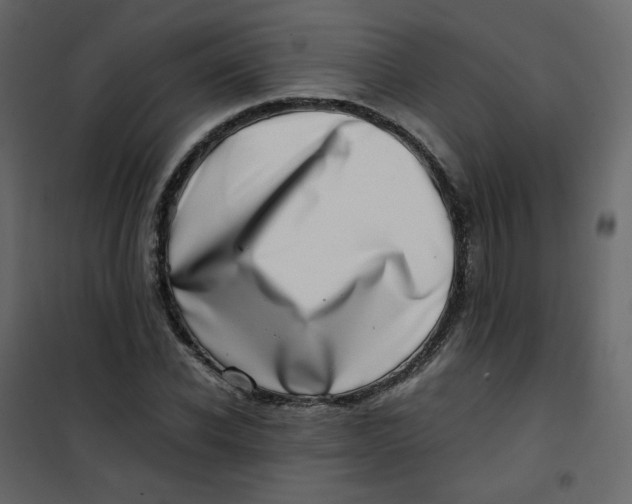 X0000101100926200807171908