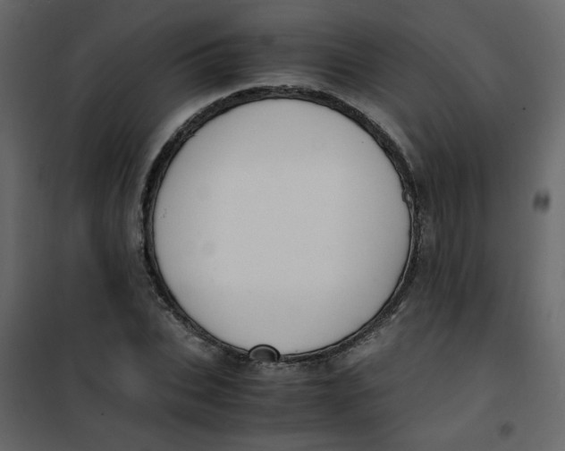 X0000101100927200807171908