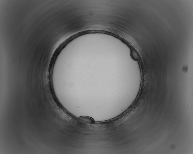 X0000101100928200807171908