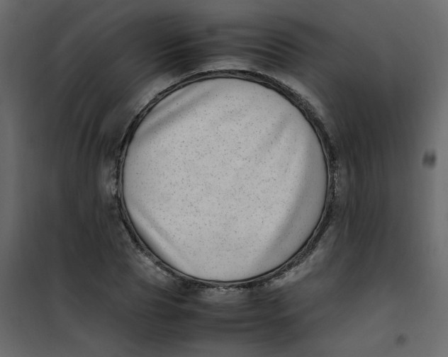 X0000101100929200807171908