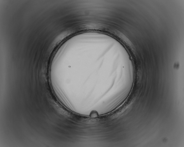 X0000101100930200807171908