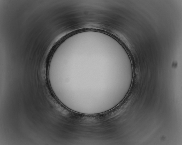 X0000101100931200807171908