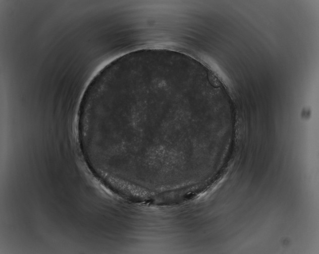 X0000101100932200807171908