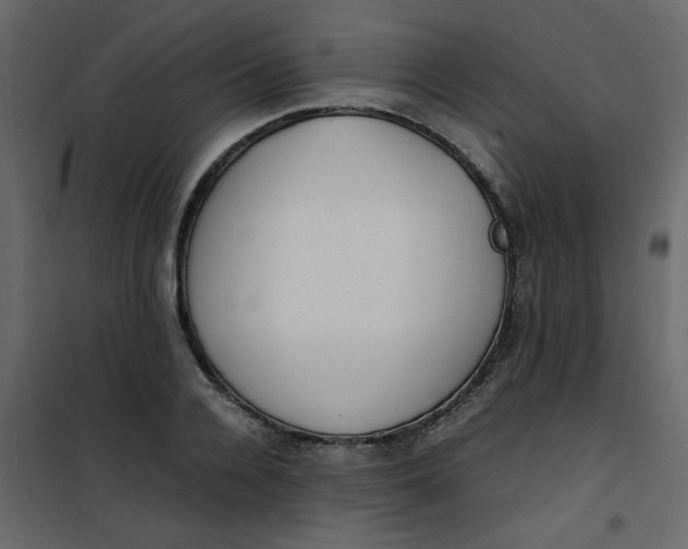 X0000101100936200807171908