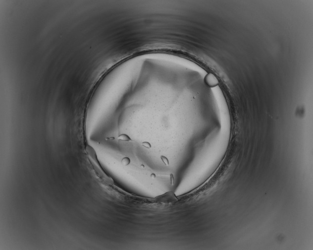 X0000101100937200807171908