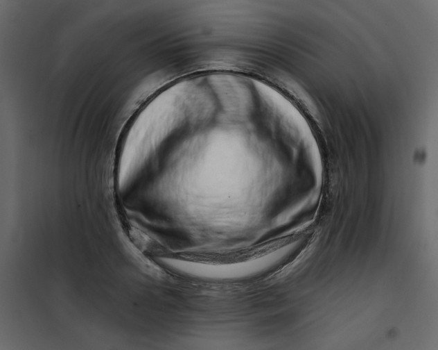 X0000101100938200807171908