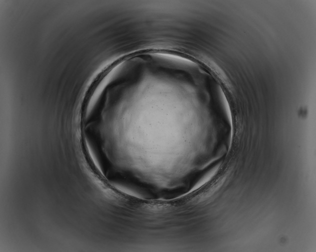 X0000101100939200807171908