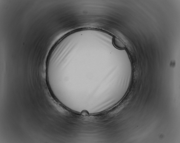 X0000101100940200807171908