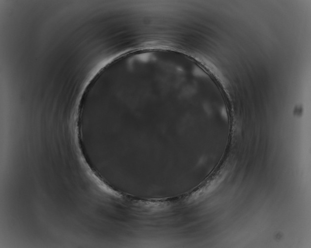 X0000101100941200807171908