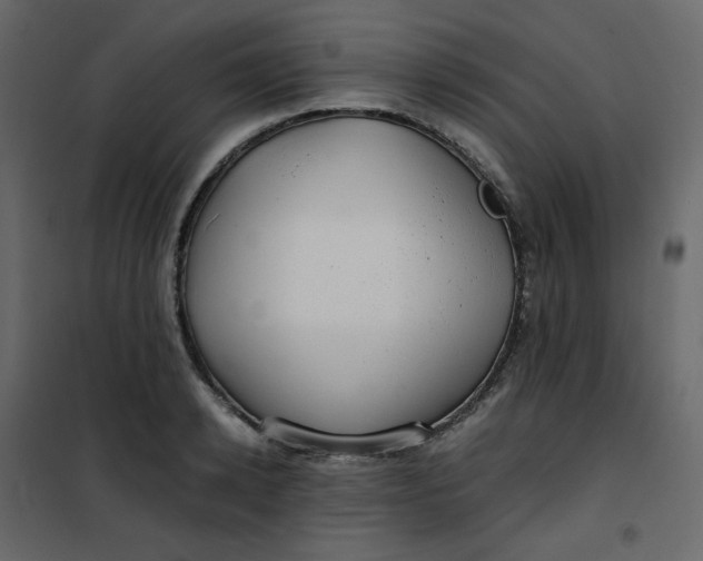 X0000101100942200807171908