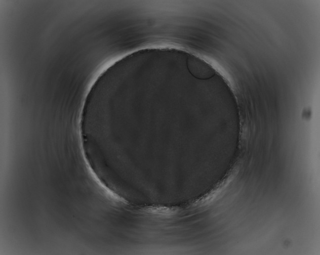 X0000101100943200807171908