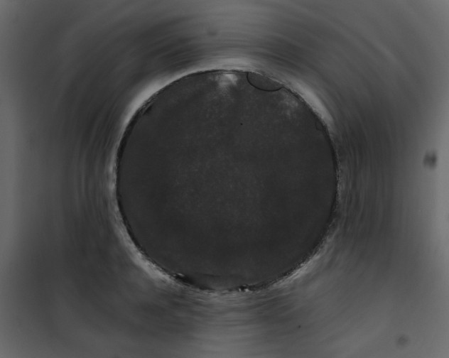 X0000101100944200807171909