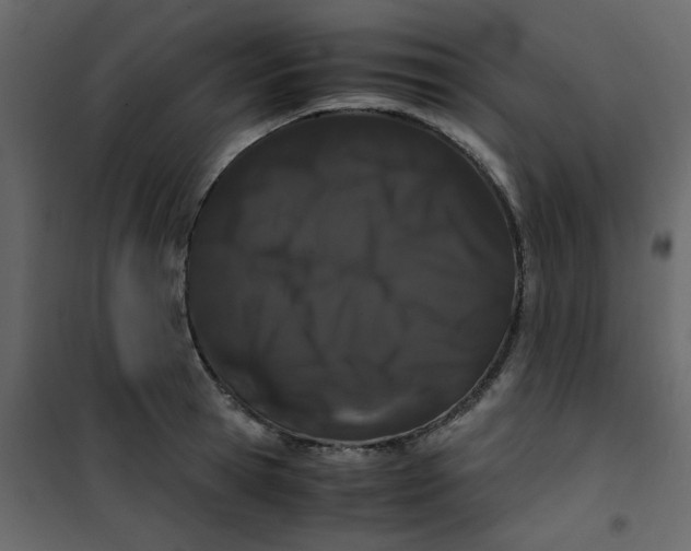 X0000101100945200807171909