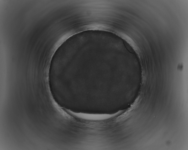 X0000101100946200807171909