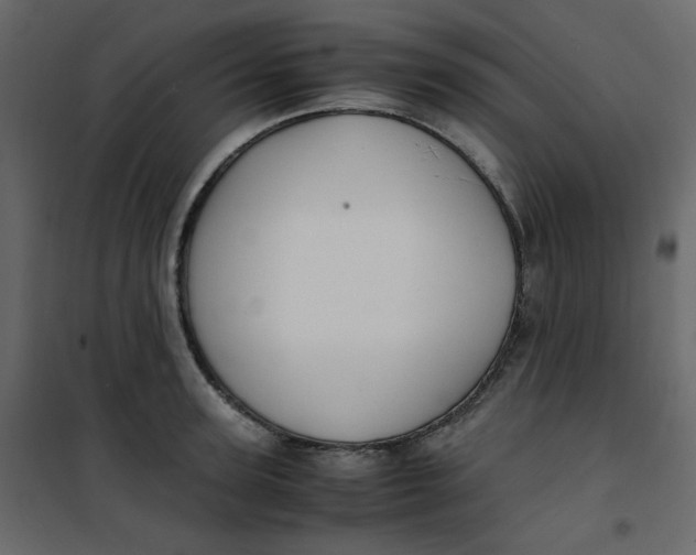 X0000101100947200807171909