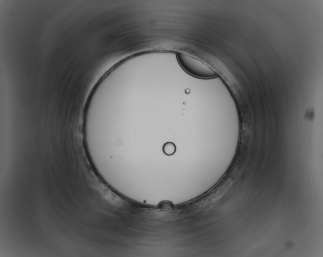 X0000101100948200807171909