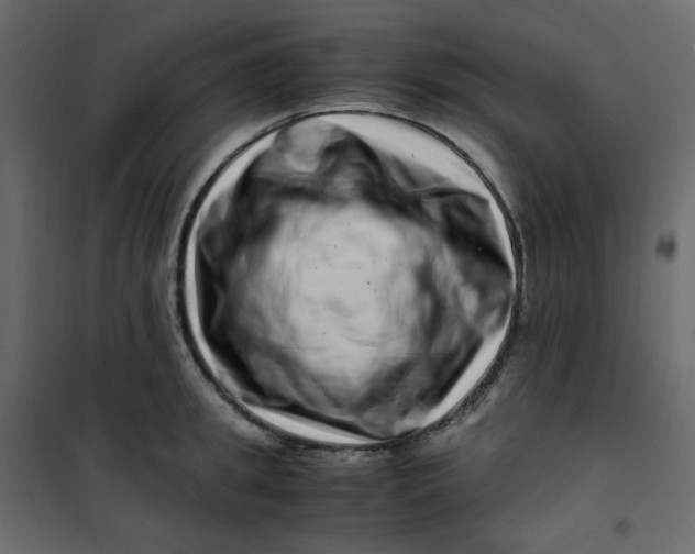 X0000101100949200807171909