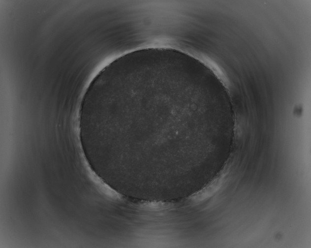 X0000101100950200807171909