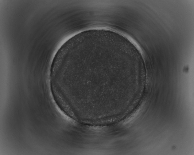 X0000101100951200807171909