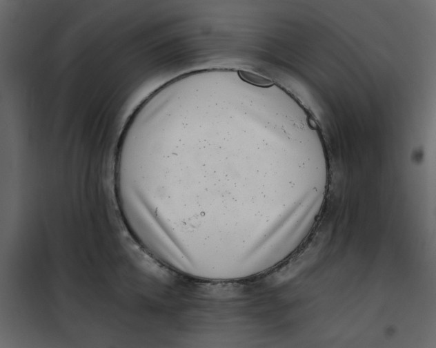 X0000101100952200807171909