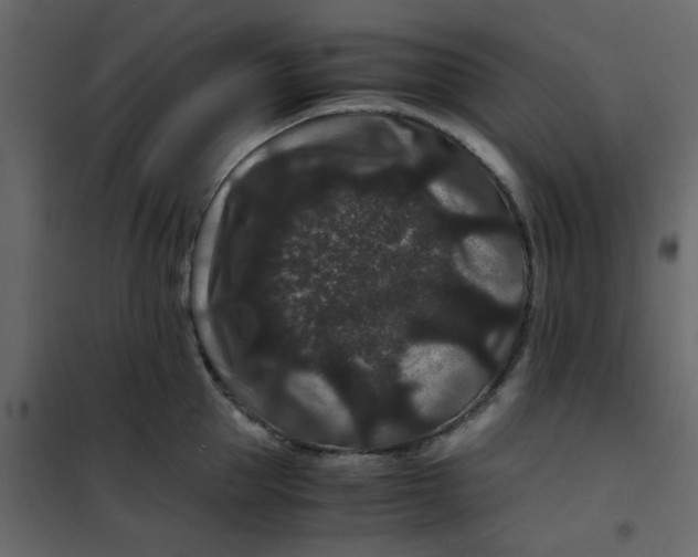 X0000101100953200807171909