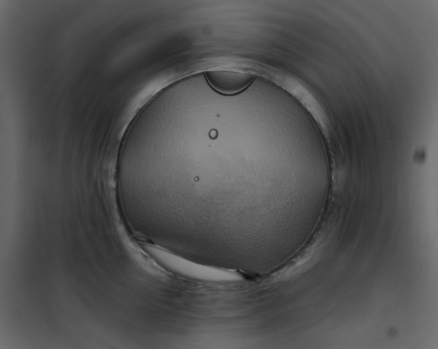 X0000101100954200807171909