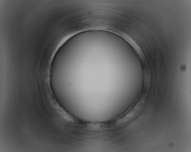 X0000101100956200807171909