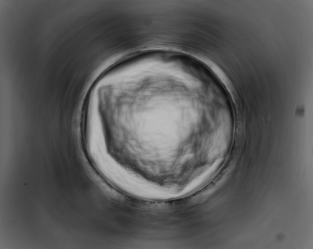 X0000101100957200807171909