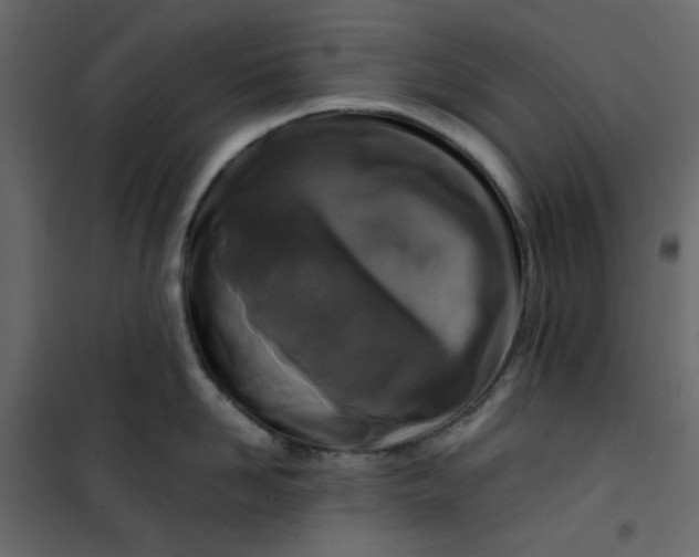 X0000101100958200807171909